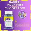 Fiber Gummies for Adults 8g (Inulin, Psyllium Husk, FOS More) with Probiotics, Green Tea Extract, Sugar Free Plant Based Fiber Supplement Blend for Digestive Health, Regularity, Non-GMO, Vegan, 60Cts 4