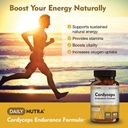 Cordyceps Endurance Formula Natural Energy Supplement - Caffeine Free | Organic Mushroom Extract with KSM-66 Ashwagandha, Eleuthero & Rhodiola (90 Capsules) 3