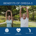 Spoonful Omega 3 Fish Oil Enteric Coated 2400mg, 200 Capsules, Burpless, Rapid Release Softgel Capsules, Made in USA, NSF-Certified 3