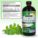 Nature's Answer Liquid Chlorophyll, 100 mg, 16 fl oz (480 ml) 4