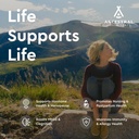 Ancestral Supplements Grass Fed Placenta Supplement with Liver, Contains Postpartum Vitamins for Women Breastfeeding, Promotes Menopause Relief, Stem Cells Support Skin Elasticity, 180 Capsules 4