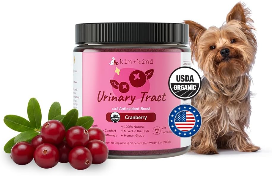 kin+kind Dog Supplement Powder - Supplement for Dogs & Cats for Healthy Immunity - Bladder Support - Natural Formula with Organic Cranberry, Blueberry and Coconut - Made in USA - 8 oz (Large) 2