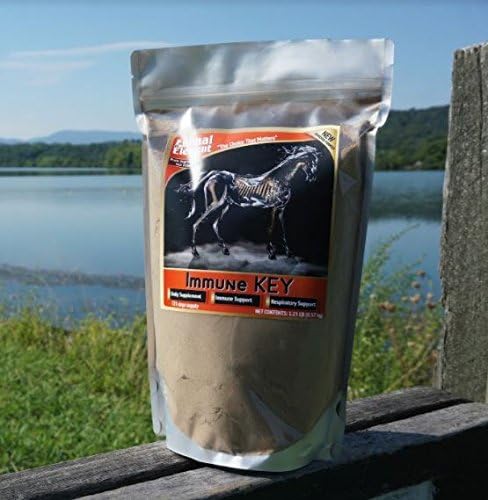 Immune Key - 1.25 lb. - All Natural, GMO-Free, Builds Strong Immune System 2