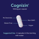 bestvite-cognizin-citicoline-500mg-180-v-5.jpg