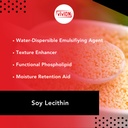 soy-lecithin-powder-food-safe-deoiled-bu-2.jpg
