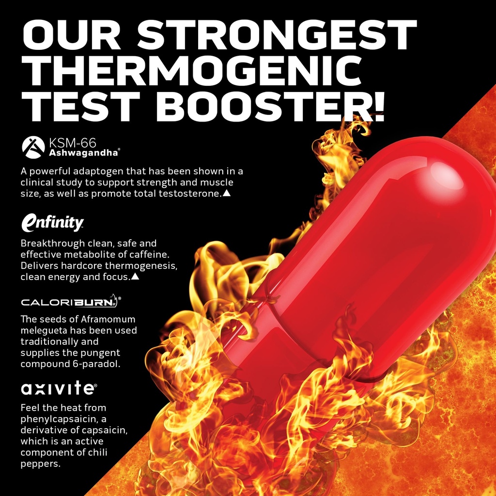 alphatest-thermo-xtr-muscletech-thermoge-3.jpg
