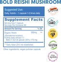 bold-botanica-reishi-mushroom-capsules---2.jpg