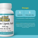natural-factors-alpha-lipoic-acid-b-600--3.jpg