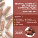 real-mushrooms-vitamin-d2-zinc-120ct-and-3.jpg