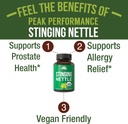usda-organic-stinging-nettle-vegan-capsu-2.jpg