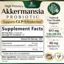 akkermansia-probiotic-supplement-for-wom-2.jpg