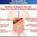 leaky-gut-repair-wl-glutamine-prebiotics-5.jpg