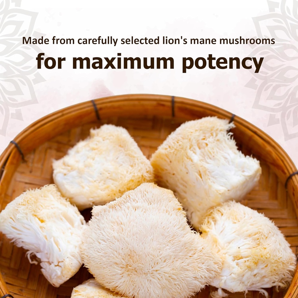 reddy-naturals-aryana-lions-mane-powder--3.jpg