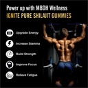 pure-himalayan-shilajit-gummies-75-fulvi-4.jpg