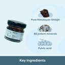 mars-himalayan-shilajit-gold-resin-organ-2.jpg