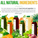 1-day-juice-cleanse-by-raw-fountain-all--4.jpg