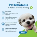 pet-wellbeing-pet-melatonin-for-dogs---s-3.jpg