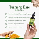 go-nutrients-turmeric-ease---organic-tur-3.jpg
