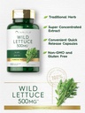 carlyle-wild-lettuce-extract-500mg-200-c-3.jpg