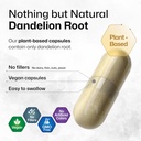 bio-krauter-dandelion-root-capsules---18-4.jpg