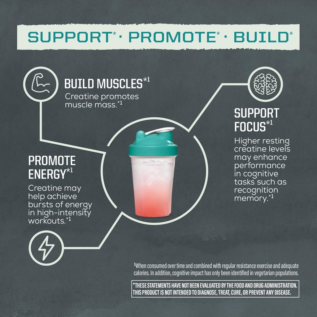 creatine-monohydrate-powder-micronized-p-4.jpg