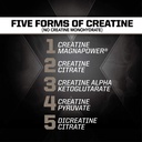 pmd-sports-cr5-professional-creatine-com-5.jpg