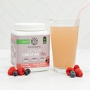 sunwarrior-creatine-for-women-monohydrat-6.jpg