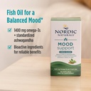 nordic-naturals-mood-support-omega-blend-3.jpg