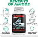 dynamism-labs-ai-brain-booster-nootropic-5.jpg