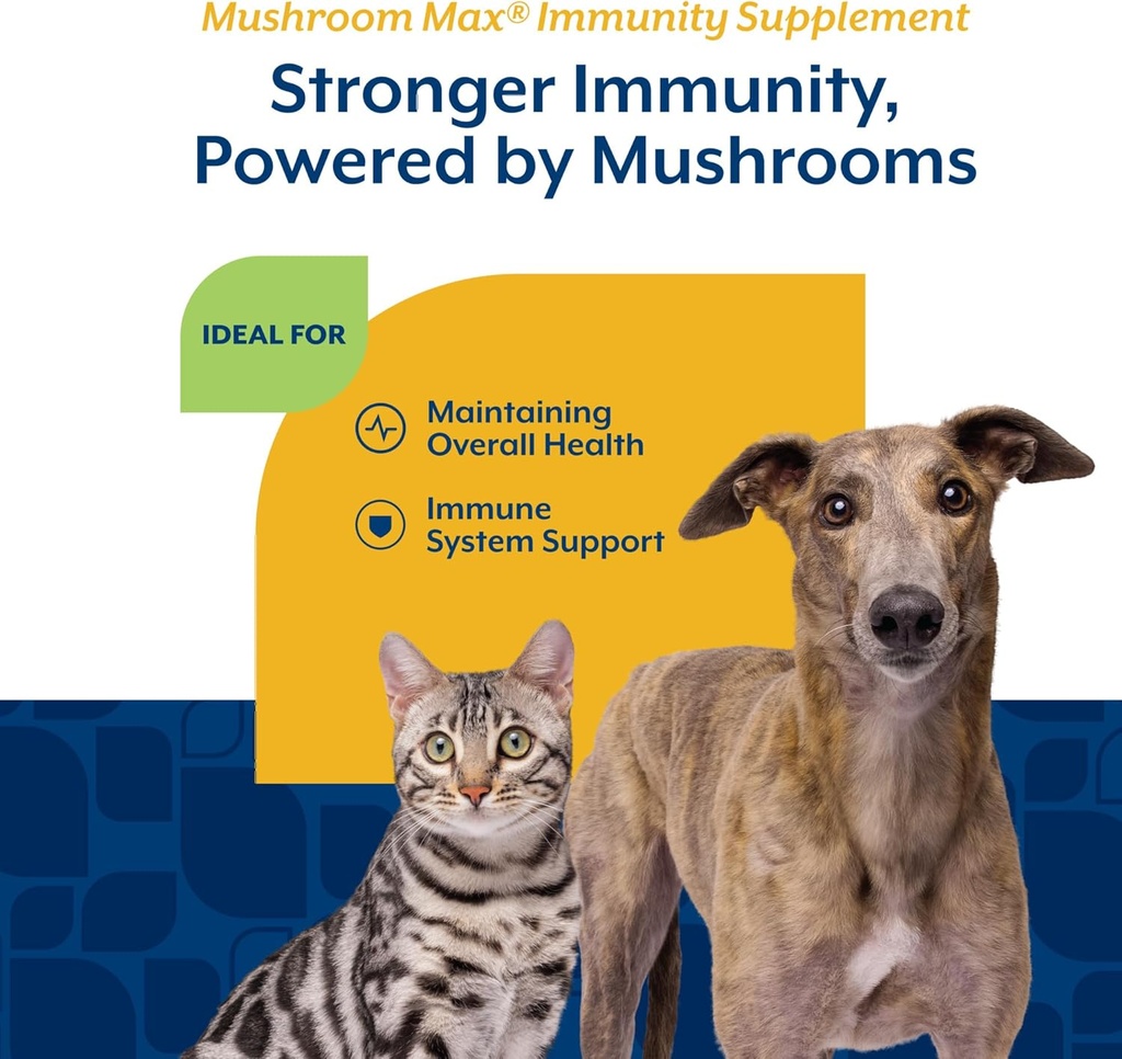 naturvet-mushroom-max-advanced-immune-su-4.jpg