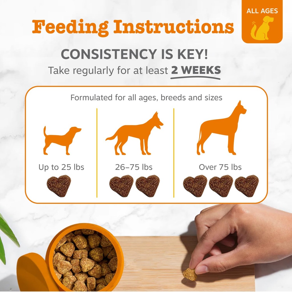 zesty-paws-probiotics-for-dogs-digestive-4.jpg