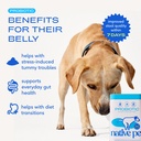 native-pet-probiotic-for-dogs-60-scoops--3.jpg