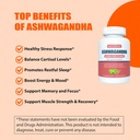 ashwagandha-6000mg-maximum-strength-opti-3.jpg