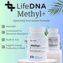 lifedna-methyl-methylfolate---methylated-5.jpg