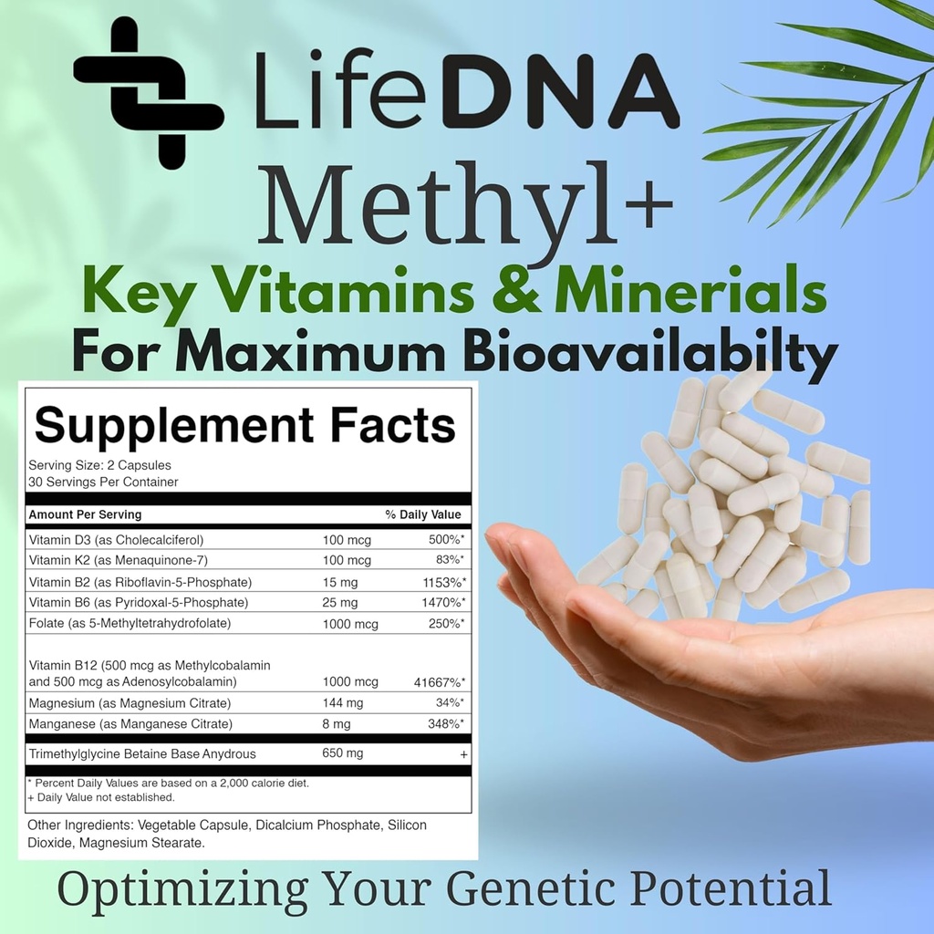 lifedna-methyl-methylfolate---methylated-6.jpg