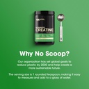 optimum-nutrition-micronized-creatine-mo-6.jpg