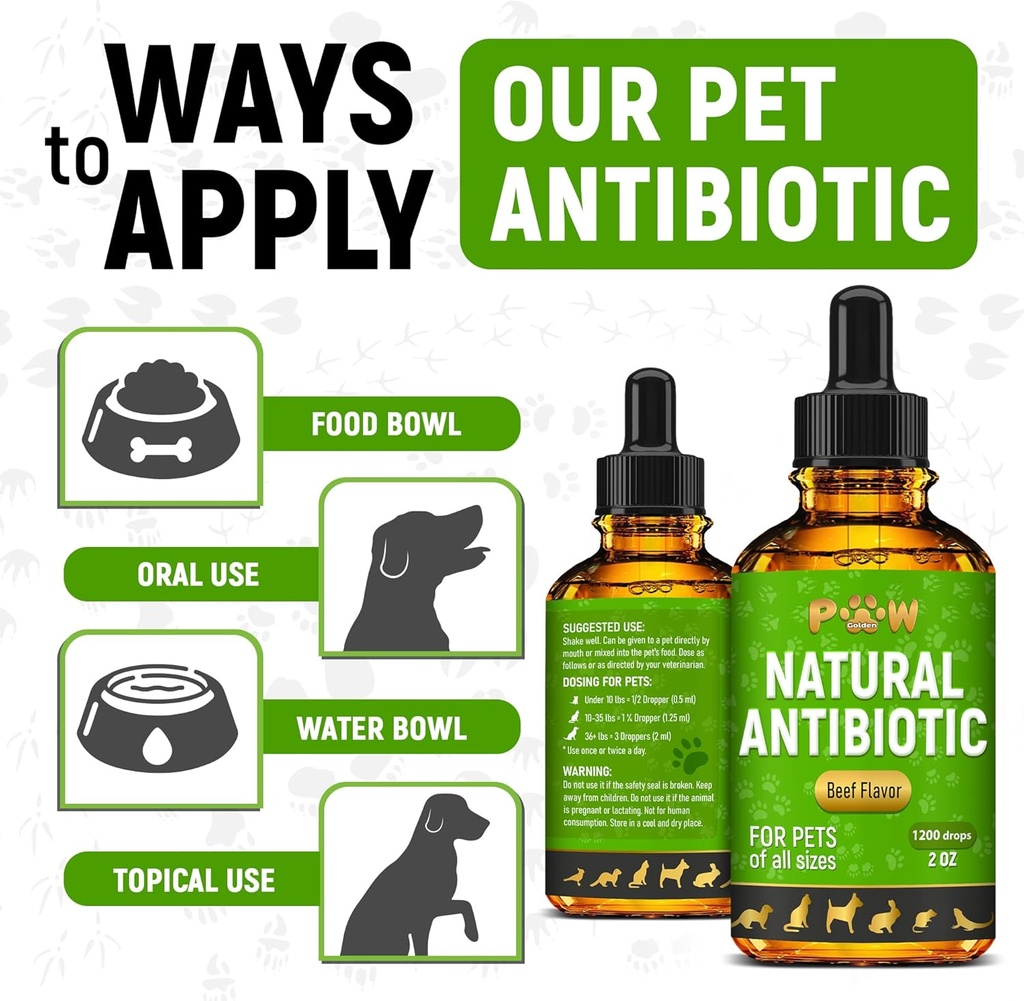 antibiotics-for-dogs-antibiotics-for-cat-5.jpg