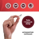 astaxanthin-12mg-antioxidant-supplement--5.jpg
