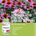 solaray-echinacea-purpurea-angustifolia--4.jpg