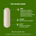 olly-big-10-probiotic-supports-a-healthy-2.jpg
