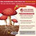 lilicare-bundle-mushroom-lions-mane-saff-5.jpg