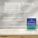 zen-principle-organic-moringa-oleifera-u-6.jpg