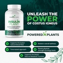 insulin-plant-capsules---3000mg-costus-i-3.jpg