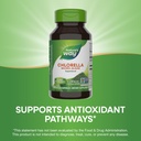 natures-way-chlorella-micro-algae-superf-4.jpg