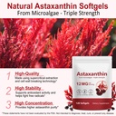 astaxanthin-supplements-12mg-premium-ast-2.jpg