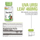solaray-uva-ursi-leaf-460-mg-healthy-bla-2.jpg