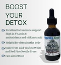 pine-needle-liquid-tincture-herbal-liqui-5.jpg