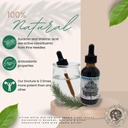 pine-needle-liquid-tincture-herbal-liqui-6.jpg