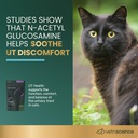 vetriscience-ut-health-chews-ut-strength-3.jpg