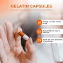 empty-gelatin-capsules-size-2-pure-bovin-4.jpg